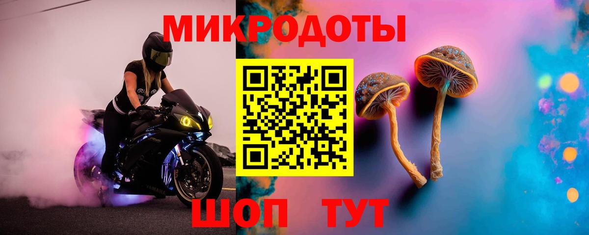 Галлюциногенные грибы мицелий  Вход с VPN  Заволжье 